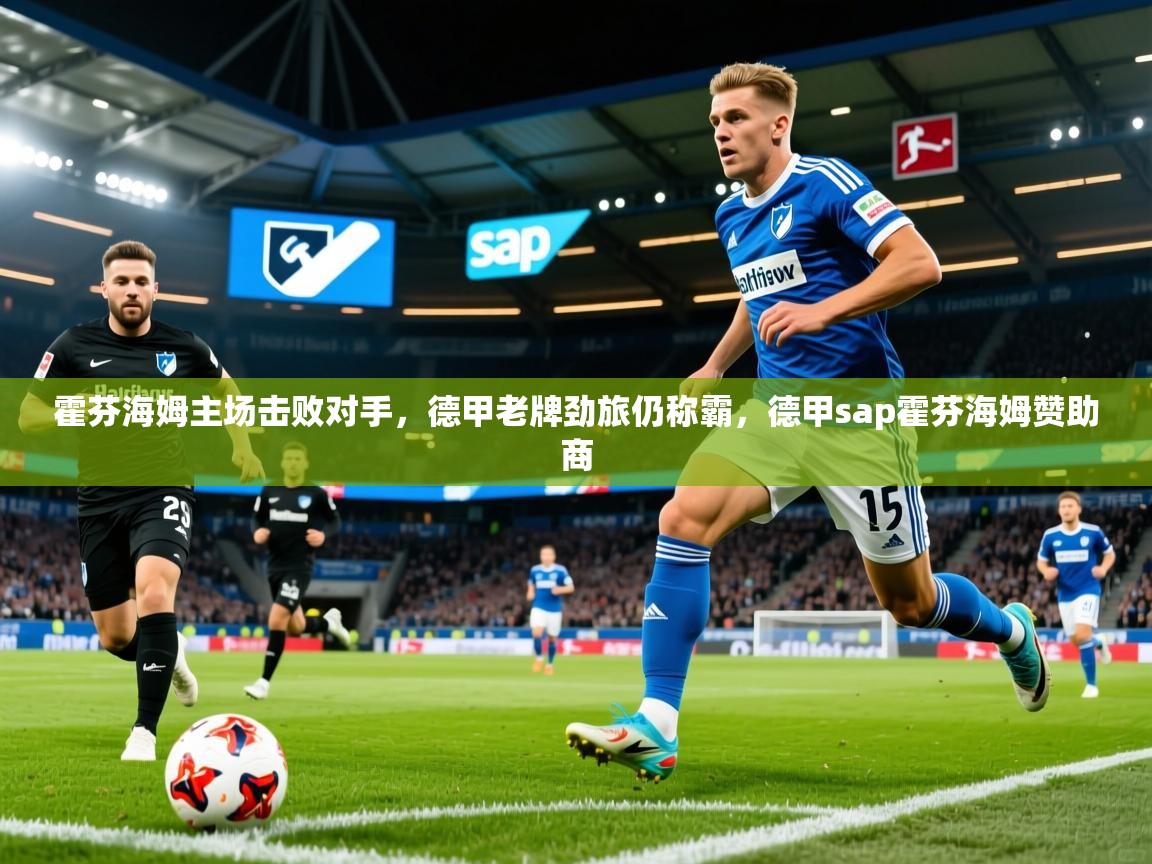 2025华体体育app霍芬海姆主场击败对手,德甲老牌劲旅仍称霸,德甲sap霍芬海姆赞助商 第3张