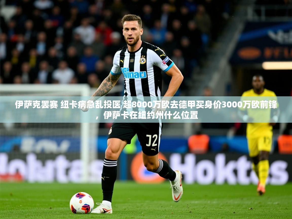 2025华体会登录首页伊萨克罢赛 纽卡病急乱投医 超8000万欧去德甲买身价3000万欧前锋，伊萨卡在纽约州什么位置