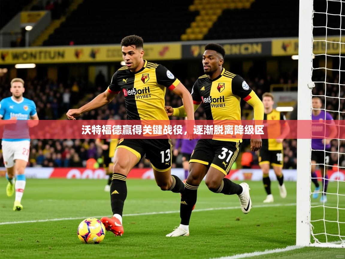 2026华体会登录地址沃特福德赢得关键战役，逐渐脱离降级区  第1张