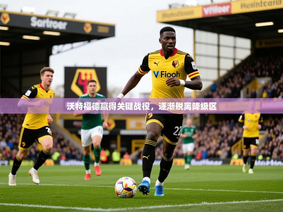 2026华体会登录地址沃特福德赢得关键战役，逐渐脱离降级区  第3张